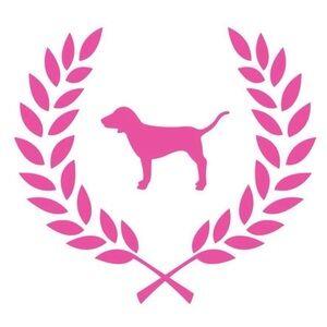 VS PINK 5 mystery items 🎁